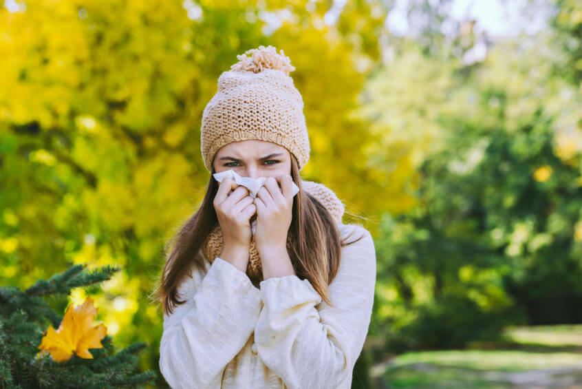 6 Tips for Fall Allergy Relief Photo