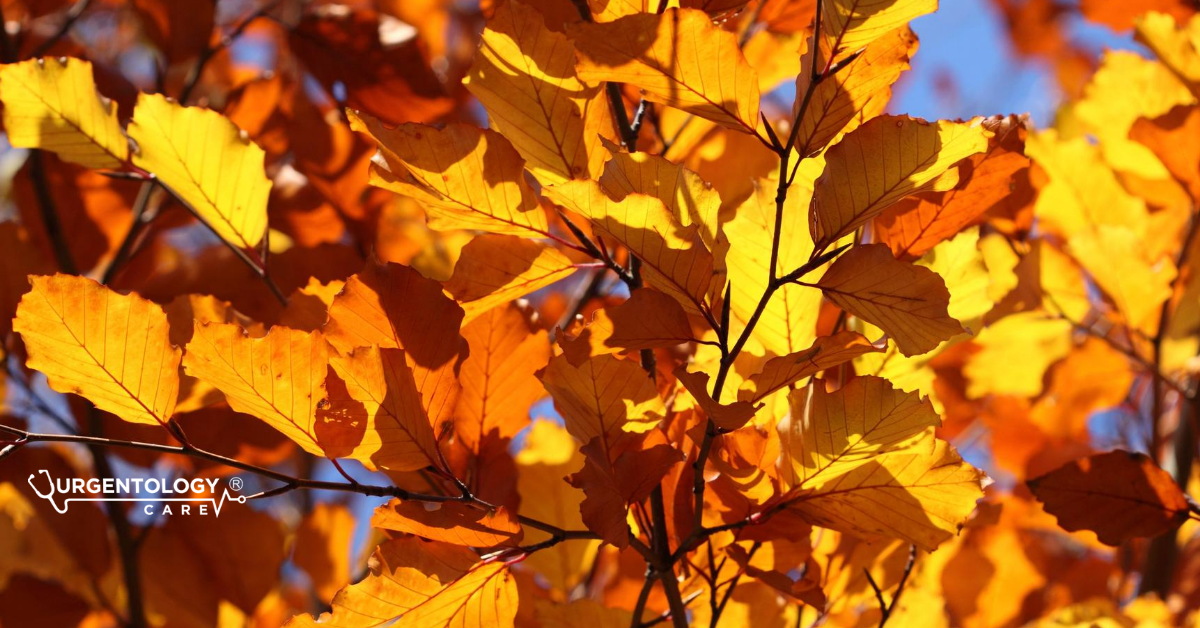 Improving Your Common Autumn Allergy Symptoms Photo